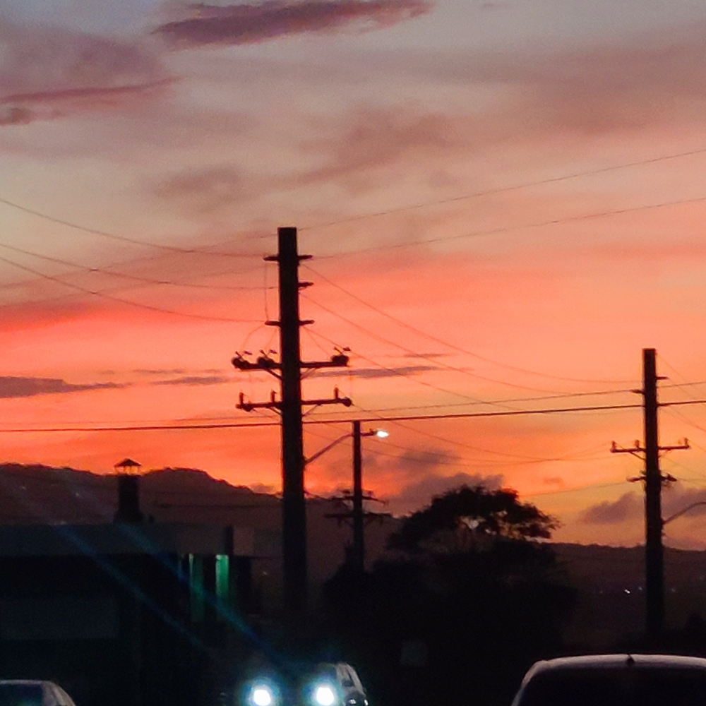 Meet your Posher, Annaliza